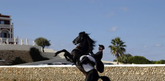 El Caballo Menorquin