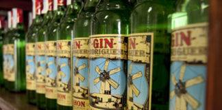 El Gin Xoriguer